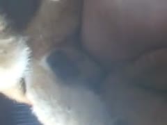 [Your pussy is licked by a dog] A kind Canadian woman loves having her son's dog screw her.
